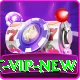 TopJit VIP New